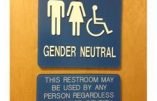 Bientôt des toilettes pour transgenres en Belgique flamande ?