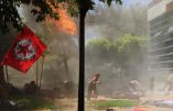 28 morts dans un attentat commis en Turquie par l’Etat Islamique