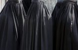 L’islamiste qui défie l’Occident