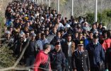 Des mafieux italiens gagnent plus avec les immigrés qu’avec le trafic de drogue