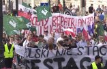 Les Polonais manifestent contre l’immigration