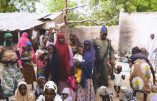 30 otages libérés des mains de Boko Haram
