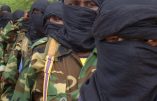 Quatorze morts dans l’attaque d’un village par des Shebab au Nord du Kenya
