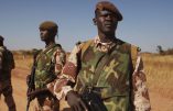 Que font les troupes françaises au Mali ?
