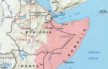 L’armée s’empare d’un nouveau bastion des Shebab en Somalie