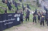 Un groupe islamiste pakistanais fait allégeance à l’Etat Islamique