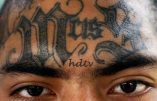 USA : Voyage au bout de l’enfer de la prison la plus atroce – Vidéo
