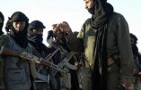 Nouvelles menaces contre les Européens au Mali sur fond de rivalité entre factions djihadistes