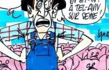 Ignace – Crise du porc : la colère monte