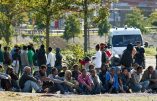 Des trafiquants albanais empochent 9.800 euros par personne pour faire passer des immigrés clandestins de France en Angleterre