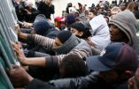 En catimini, l’Etat français annonce qu’il ne distinguera plus l’immigration illégale de l’immigration régulière, facilitant un peu plus le grand remplacement