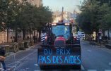 Agriculteurs en colère – Le double jeu de Xavier Beulin