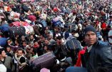 Pour les migrants presque 10 milliards d’euros en trois ans