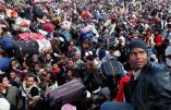 Immigration : l’Autriche interdit la burqa et la distribution publique du Coran