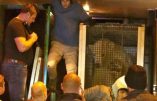 Calais – Des migrants s’introduisent dans un camion et se retrouvent face à un ours polaire !
