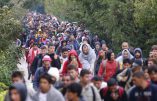 Allemagne, la police s’inquiète : « avec l’arrivée des migrants, naissance de nouveaux clans criminels »