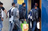 Pays-Bas – Les 130 habitants d’Oranje forcés d’accueillir au moins 800 immigrés