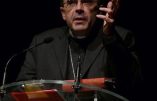 Anne Brassié au cardinal Barbarin : si tant de jeunes se tournent vers l’Islam, c’est de votre faute.