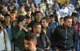 Crise des migrants : la désinformation continue