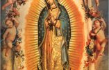 Los Angeles : l’image de Notre Dame de Guadalupe révèle encore de nouveaux mystères