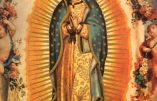 L’abbé Beauvais nous parle de Notre-Dame de Guadalupe (4)