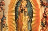Los Angeles : l’image de Notre Dame de Guadalupe révèle encore de nouveaux mystères