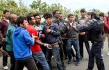 L’invasion migratoire islamisante en vidéo choc