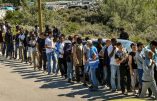 Danger : 800 000 migrants rassemblés en Libye, prêts au départ