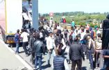 Les immigrés à Calais : “une organisation quasi militaire”, témoigne le procureur Valensi