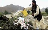 Afghanistan – L’Etat Islamique rivalise avec les Talibans