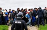 Des centres d’accueil flottants contre la marée de migrants