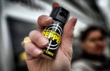A Vienne, une association hongroise distribue des bombes lacrymogènes aux femmes