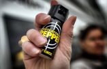 A Vienne, une association hongroise distribue des bombes lacrymogènes aux femmes