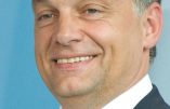 La coalition du Fidesz et du parti national-démocrate, menée par Viktor Orbán, progresse de 44,5 à 48,5% et remporte de justesse la majorité des deux tiers des élus (133 sur 199)