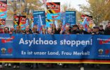 Immigration : les Allemands plébiscitent le radicalisme