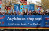 Immigration : les Allemands plébiscitent le radicalisme