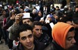 Immigration : le projet de loi adopté dans l’indifférence générale