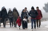 Une photo d’immigrés non conforme à la doxa ambiante, censurée !