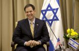La campagne de Marco Rubio financée par Larry Ellison, “le Juif le plus riche du monde”