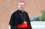 La Grande Loge d’Espagne répond à son “Vénérable Frère Gianfranco”, le cardinal Ravasi, proche du pape François