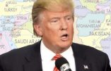 Idée choc pour bloquer l’ascension de Donald Trump : abolir le suffrage universel