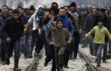 Chaque immigré va nous coûter en moyenne 450.000 euros, selon une étude allemande