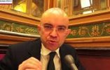 La fin des haricots ? (Damien Viguier)
