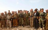 Vifs combats entre les Kurdes et l’armée syrienne – Les Kurdes, ces faux-amis des chrétiens…