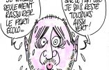 Ignace – Denis Baupin accusé d’agressions sexuelles