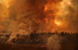 Fire seen from the highway in Fort McMurray. (Serghei Cebotari)