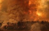 Incendie gigantissime au Canada à Fort McMurray