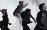 Nuit Debout ratonne les Veilleurs et le journaliste de TV Libertés