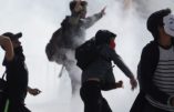 Nuit Debout ratonne les Veilleurs et le journaliste de TV Libertés