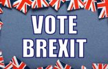 Le Brexit, et après ? (Jean-Michel Vernochet, Bruno Guigue)